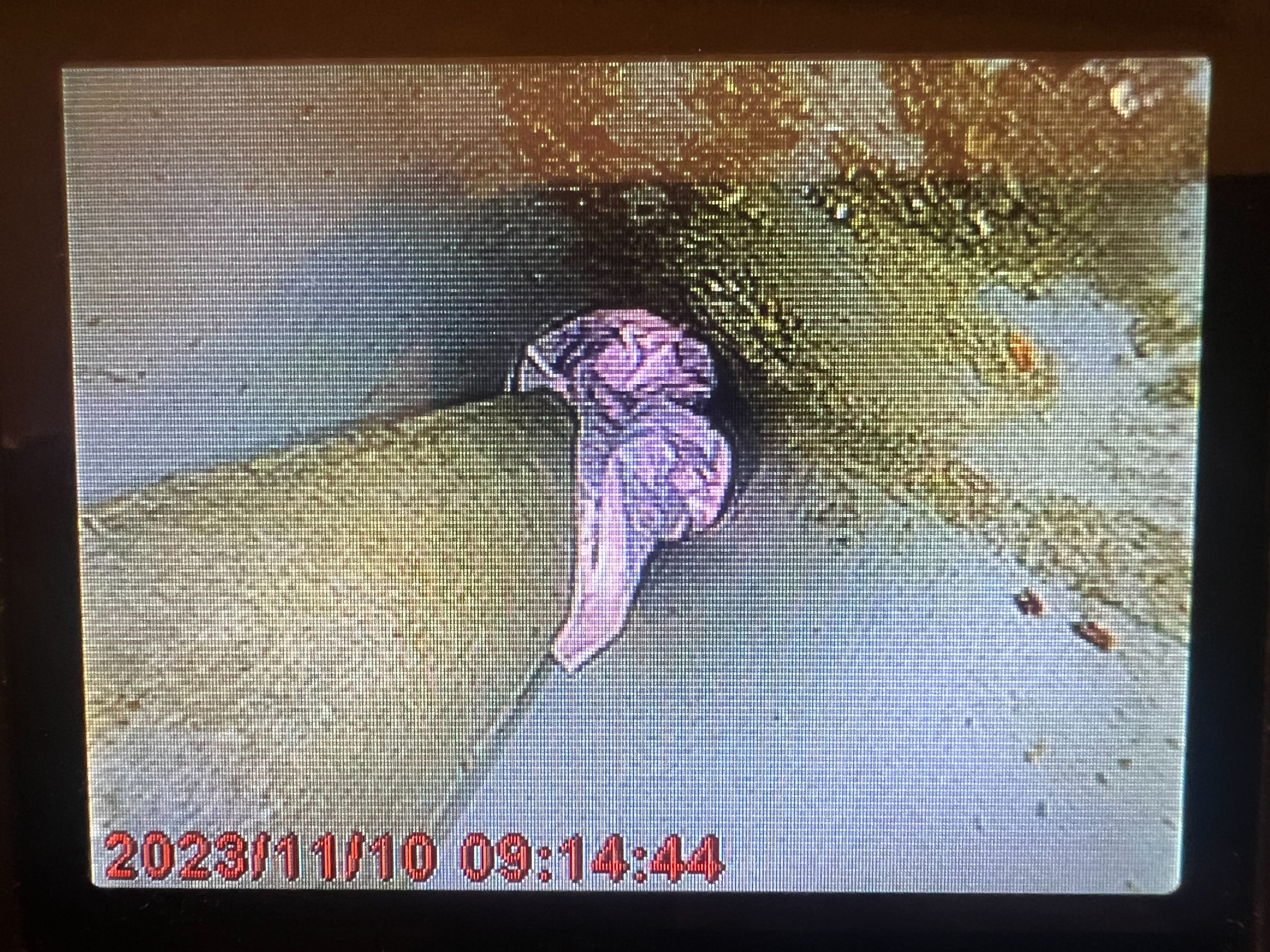 屏東水管管路內視鏡檢測