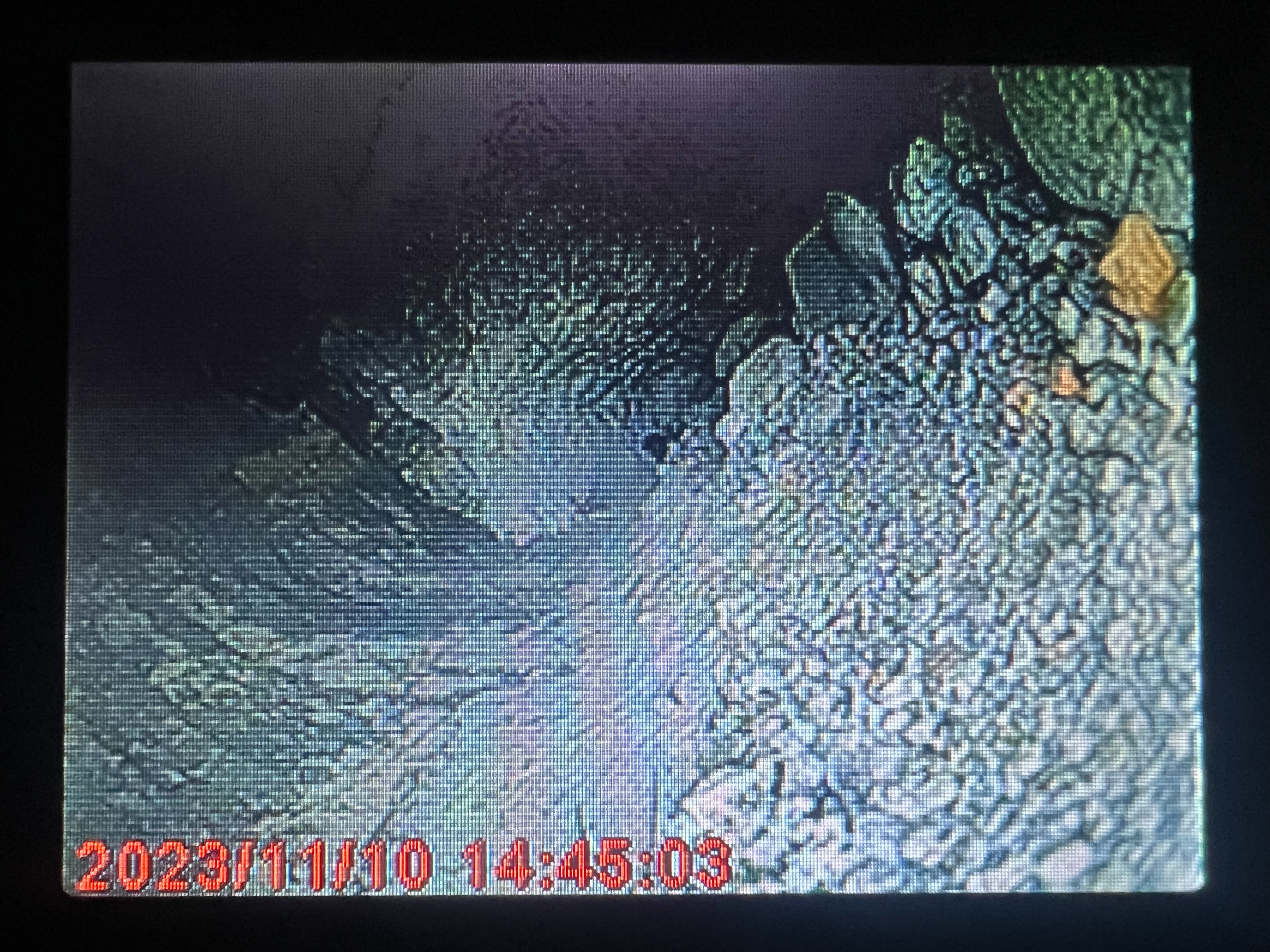 屏東水管管路內視鏡檢測