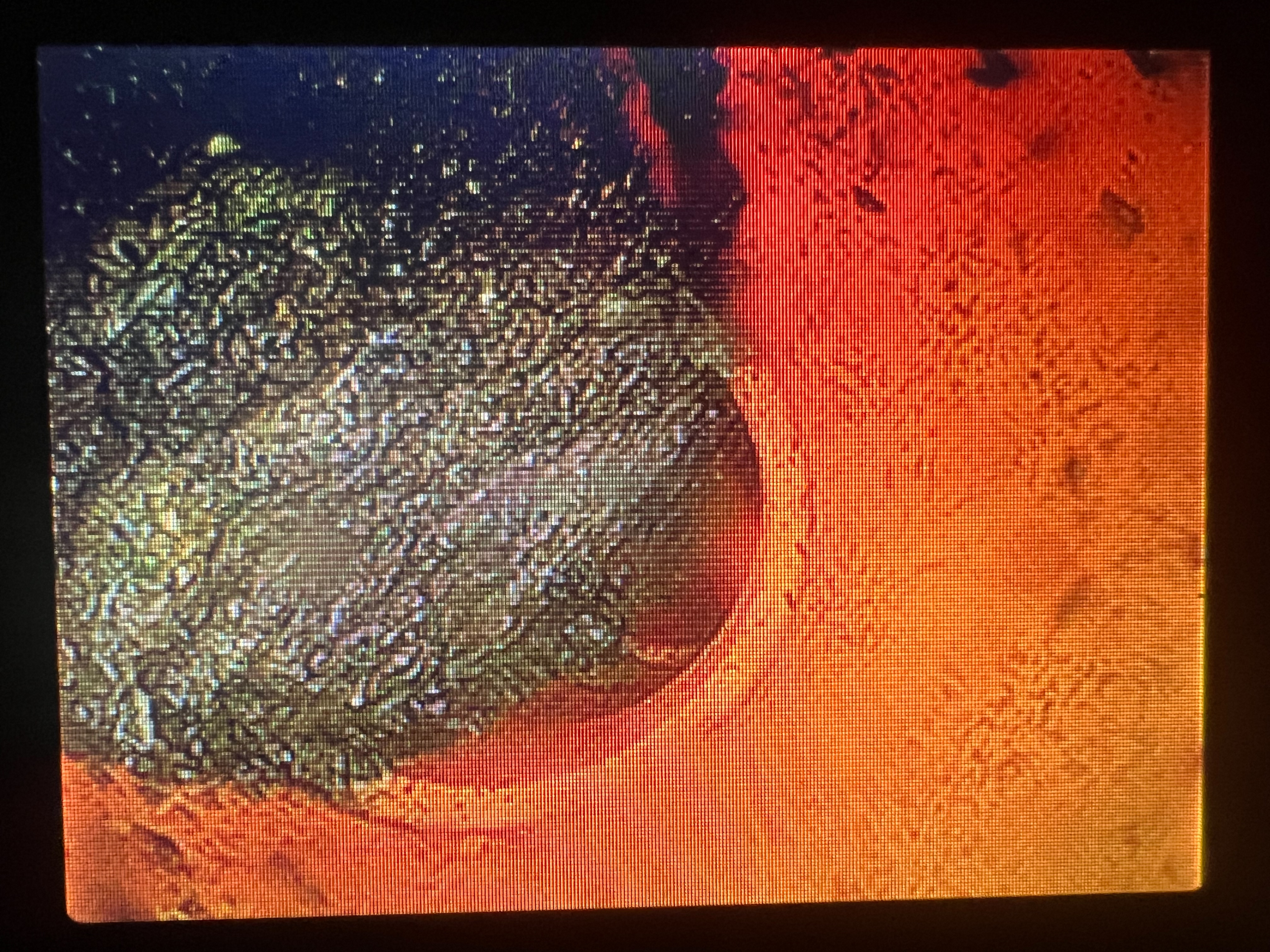 屏東水管管路內視鏡檢測