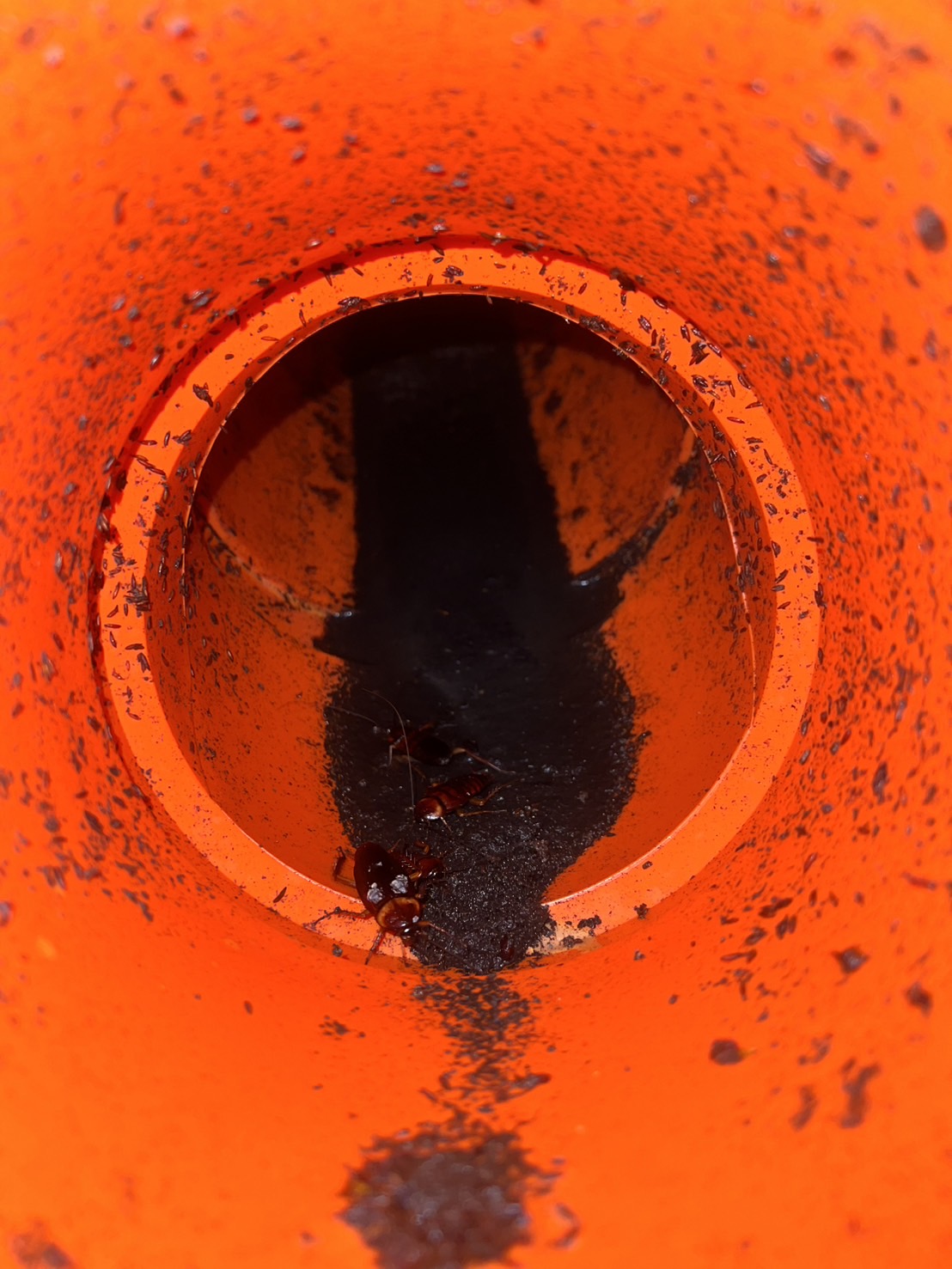 高雄地下室吊管水刀疏通