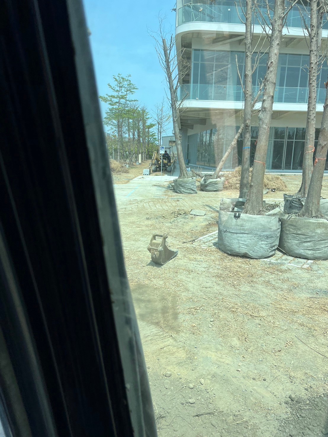 樹木移植工程-台中樹木移植