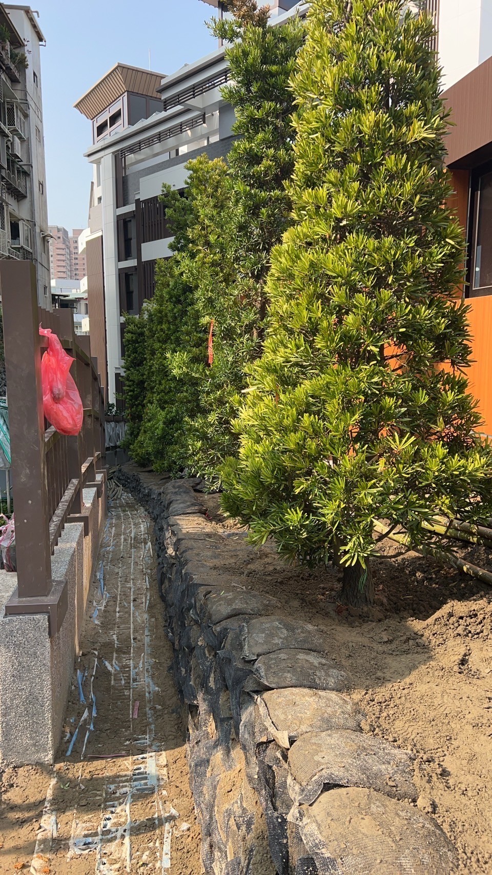 景觀植栽-景觀植栽工程