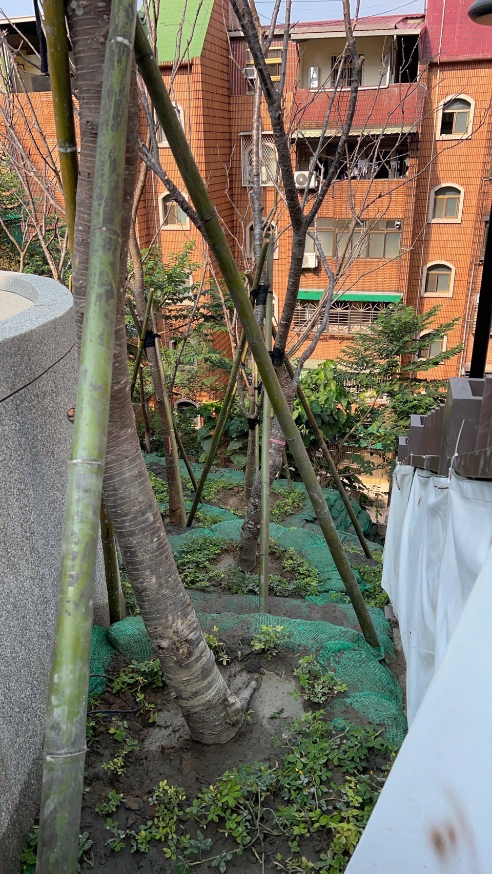 景觀植栽-景觀植栽工程