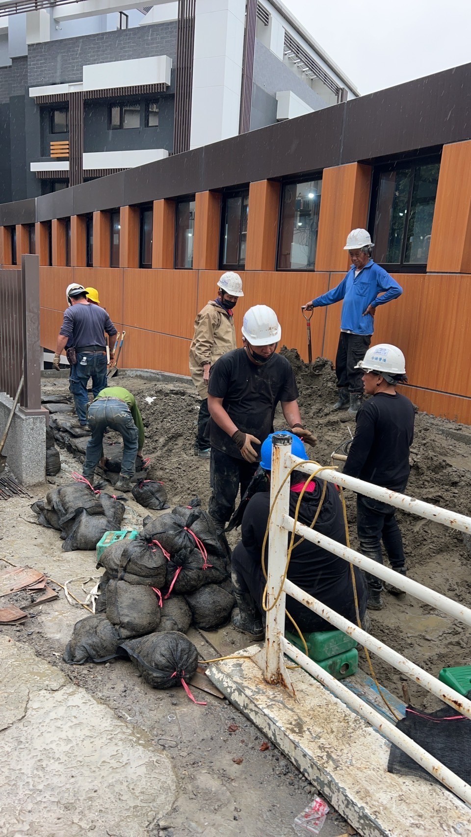 景觀植栽-景觀植栽工程