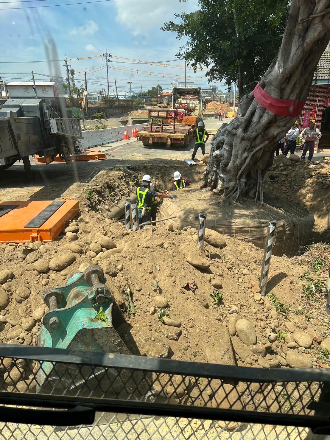 樹木移植工程-台中樹木移植