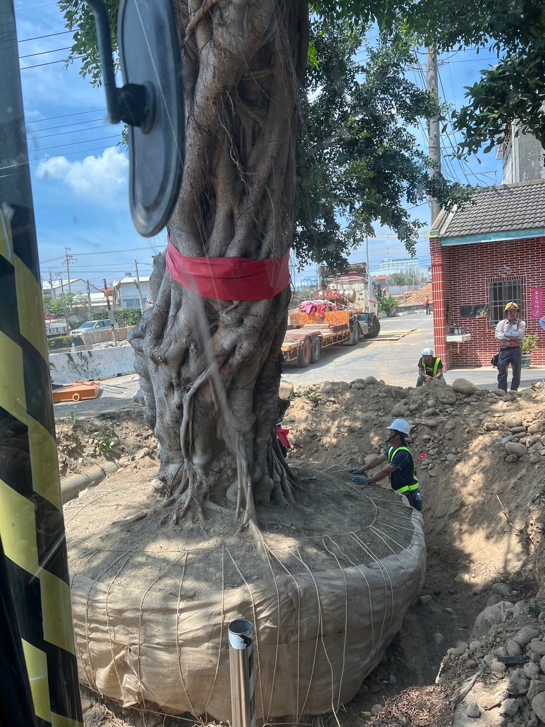 樹木移植工程-台中樹木移植