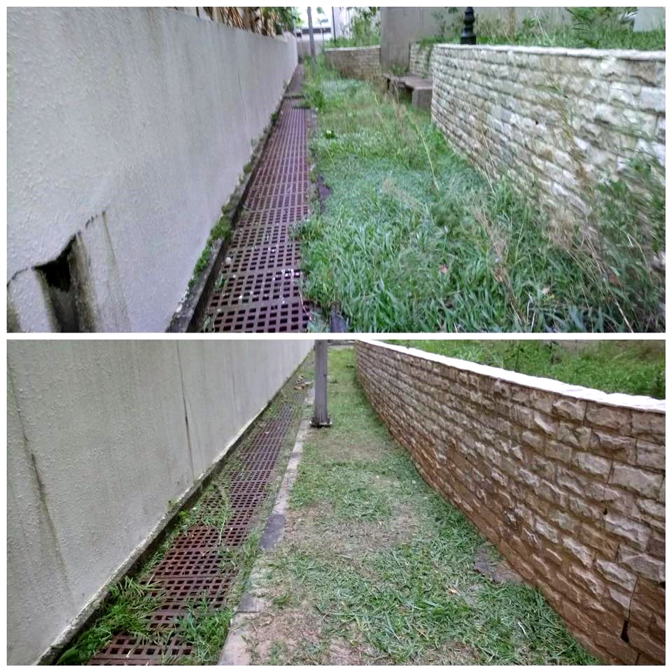 外牆割草(前/後)