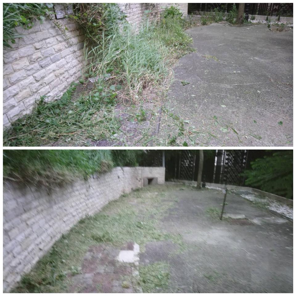 外牆割草(前/後)