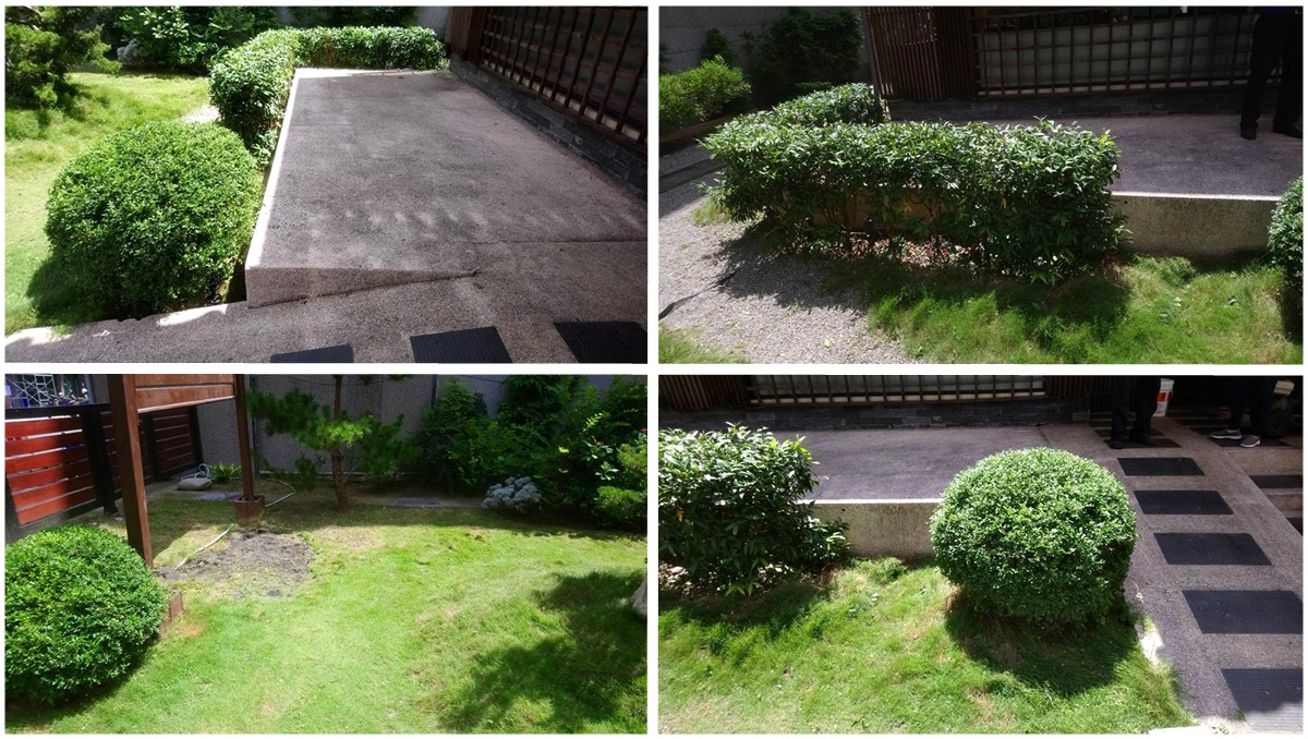 園藝修剪、定期維護