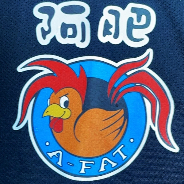 臺南安平阿肥桶仔雞
