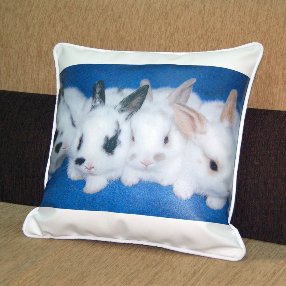 抱枕(皮革)印刷-禮贈品宣傳品-億納印刷