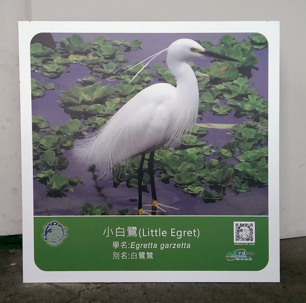 鋁板、烤漆鐵件印刷-UV數位直印-億納印刷