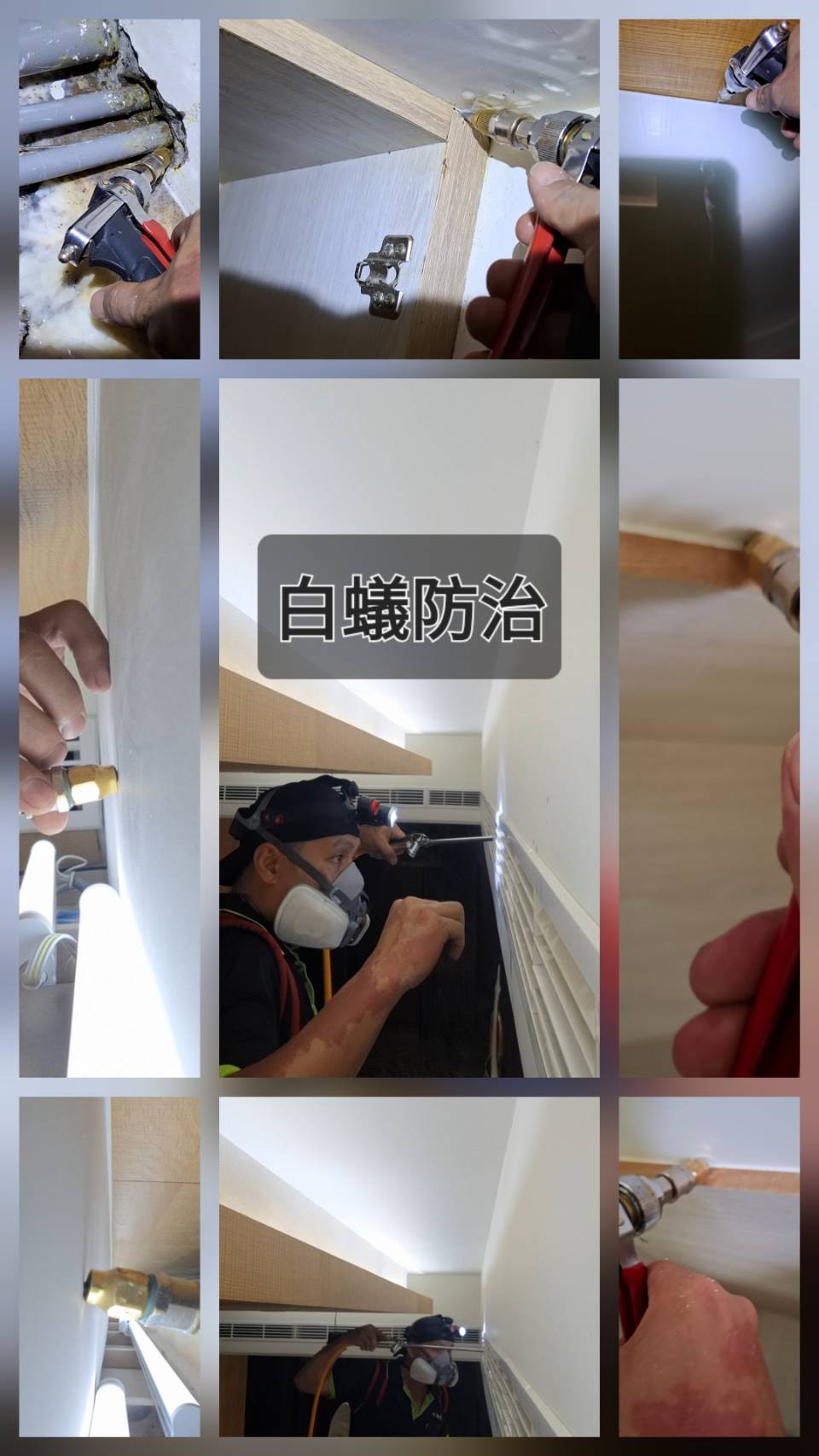 【近期工程實績｜白蟻防治作業】