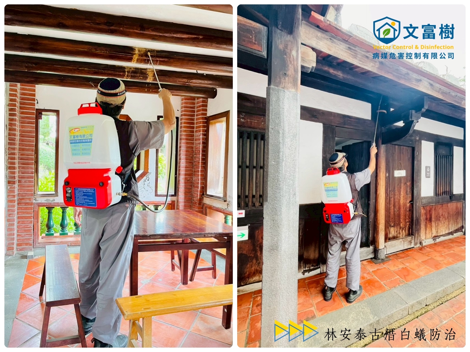 文富樹病媒防治專家-桃園除蟲 | 白蟻防治 | 角材防蛀 | 全台環境消毒-污染防治