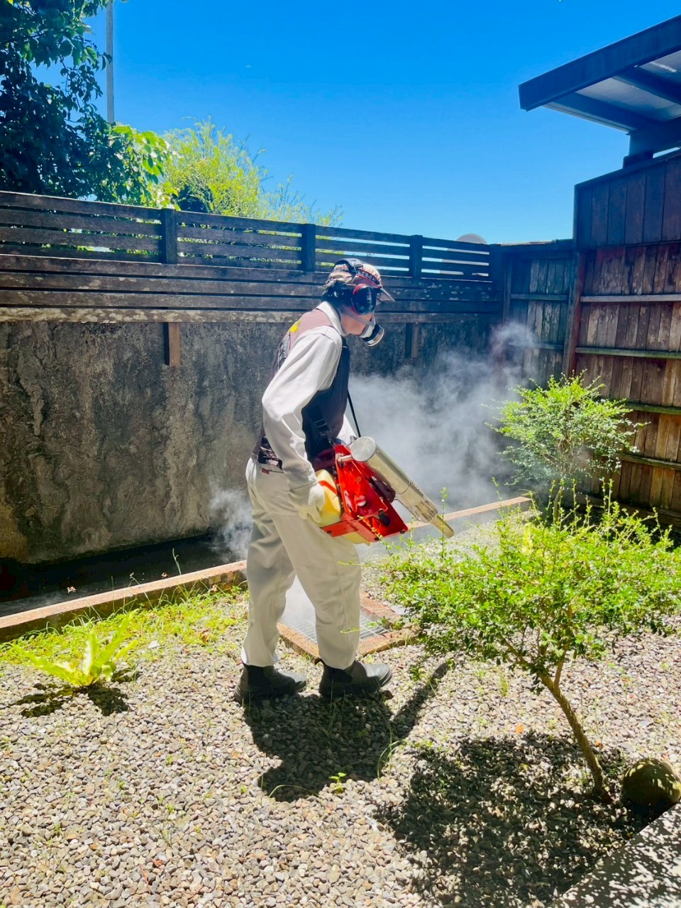 宜蘭羅東三月三民宿病媒防治