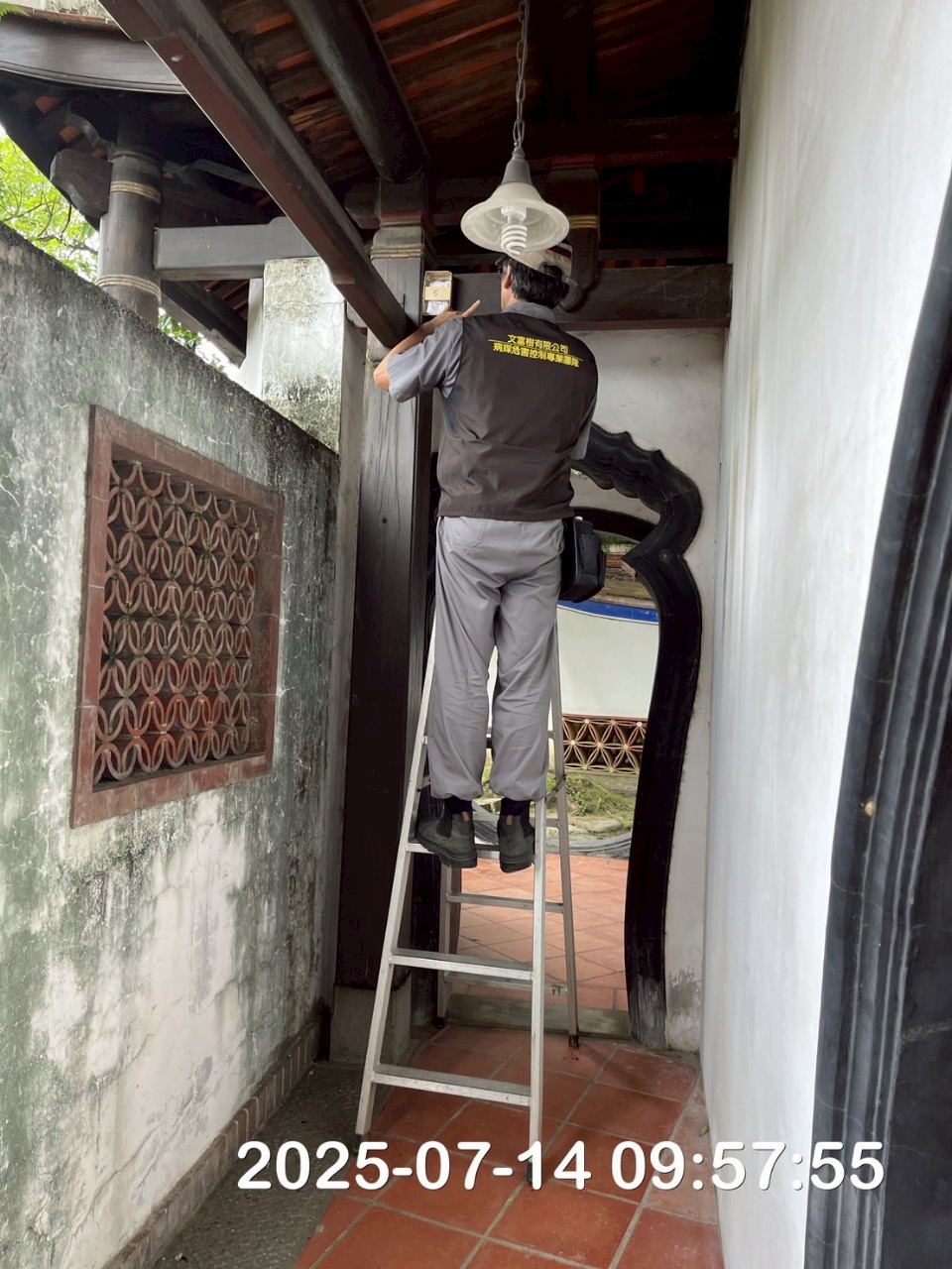 林安泰古厝白蟻防治
