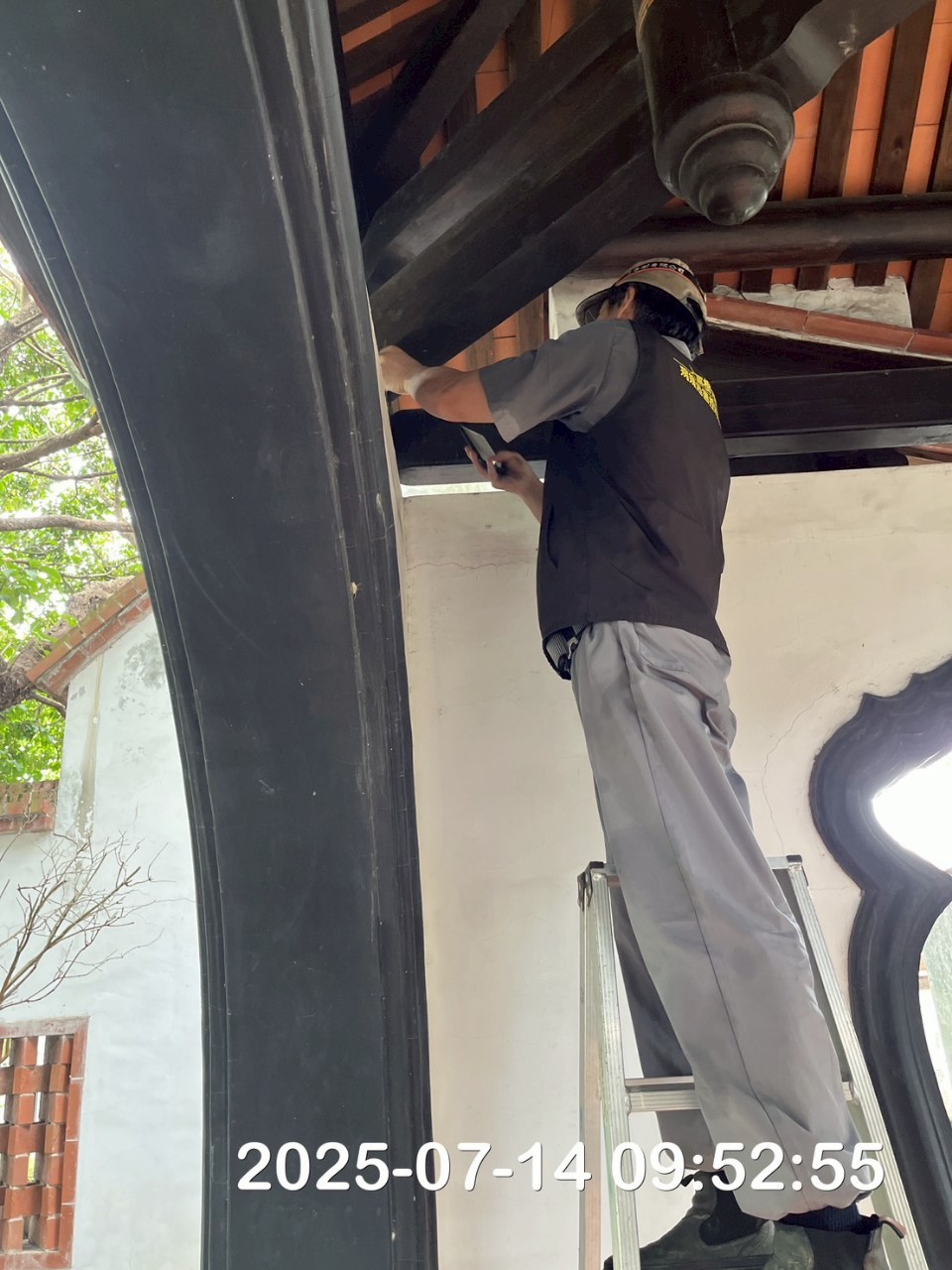 林安泰古厝白蟻防治