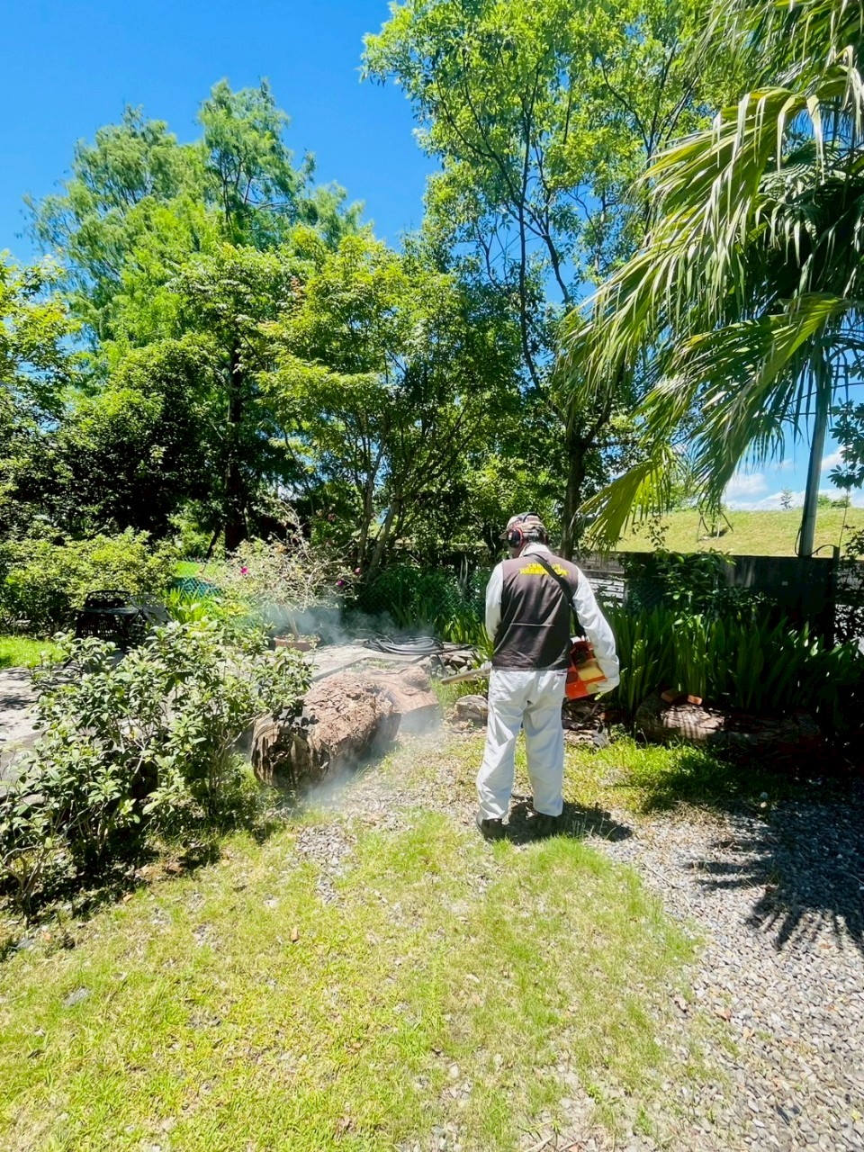 宜蘭羅東三月三民宿病媒防治
