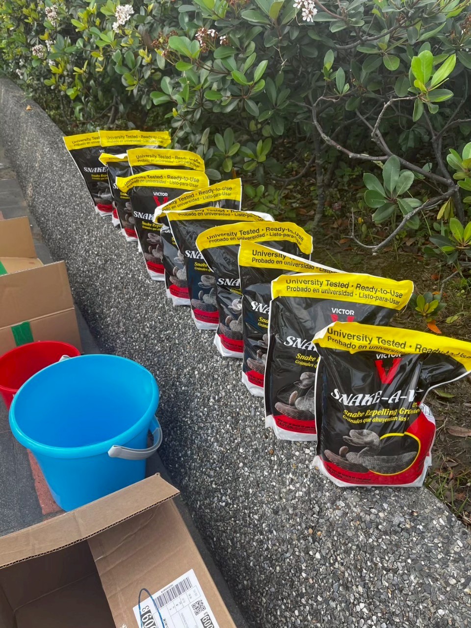 使用美國進口的snake-away(驅蛇寶)進行驅蛇作業