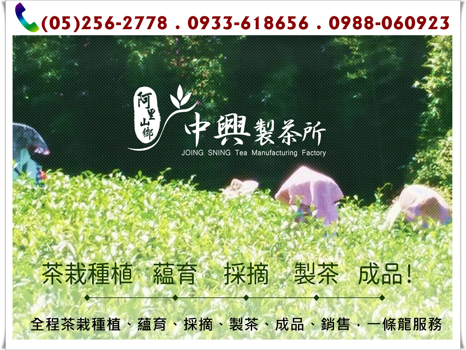 中興製茶所-李健誠-undefined