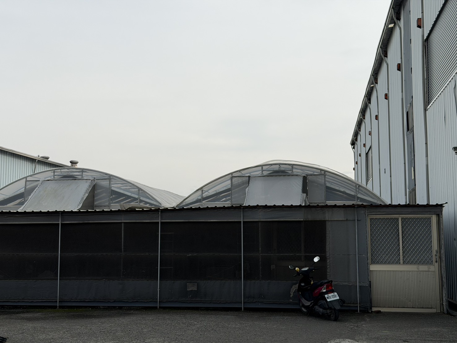 可附帶水草輸美溫室