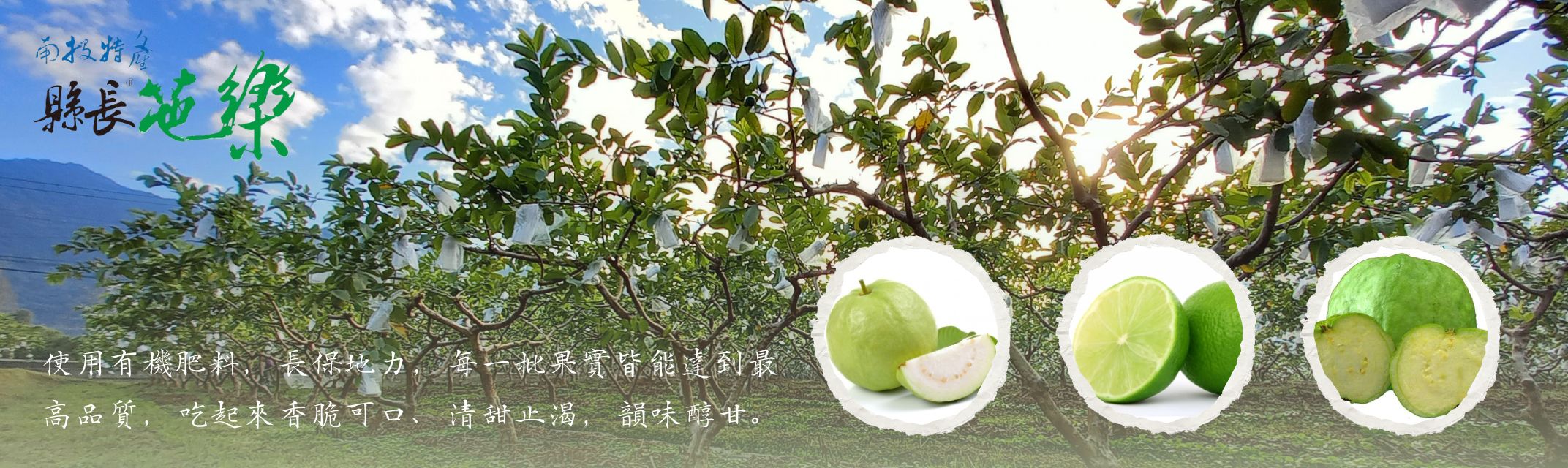 時輪有機農場-農產品