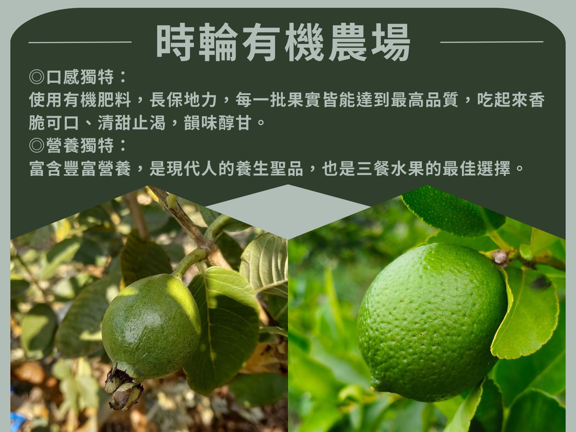 時輪有機農場-農產品