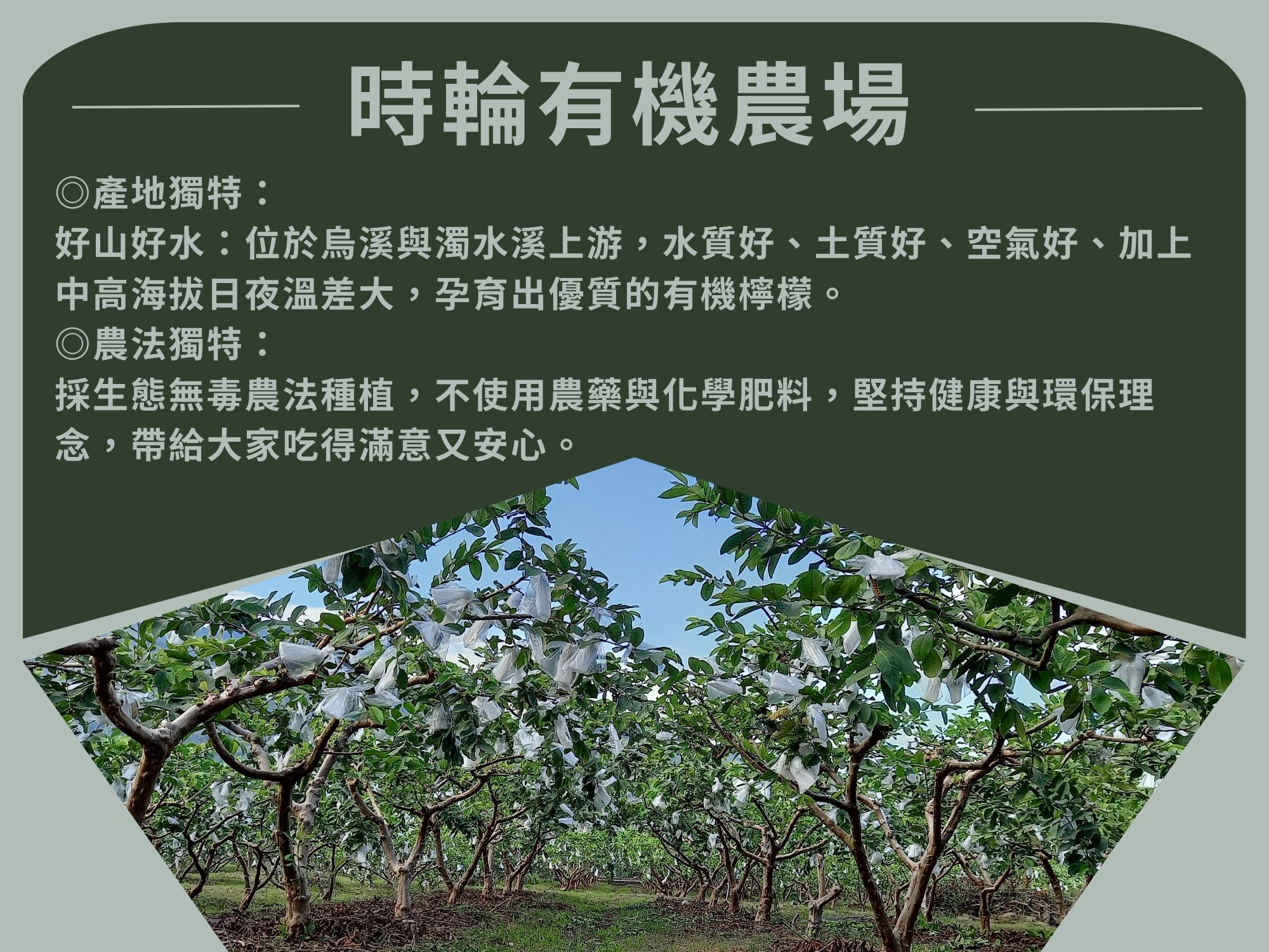 時輪有機農場-農產品