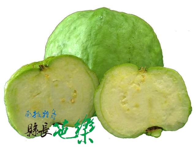 縣長-有機水晶芭樂