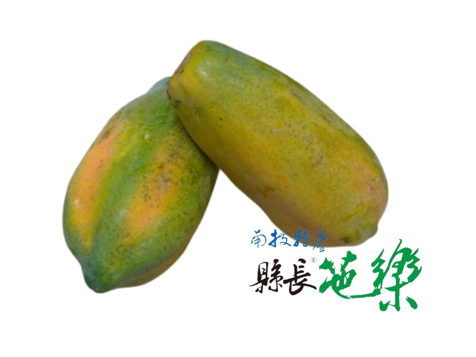 縣長-網室有機木瓜