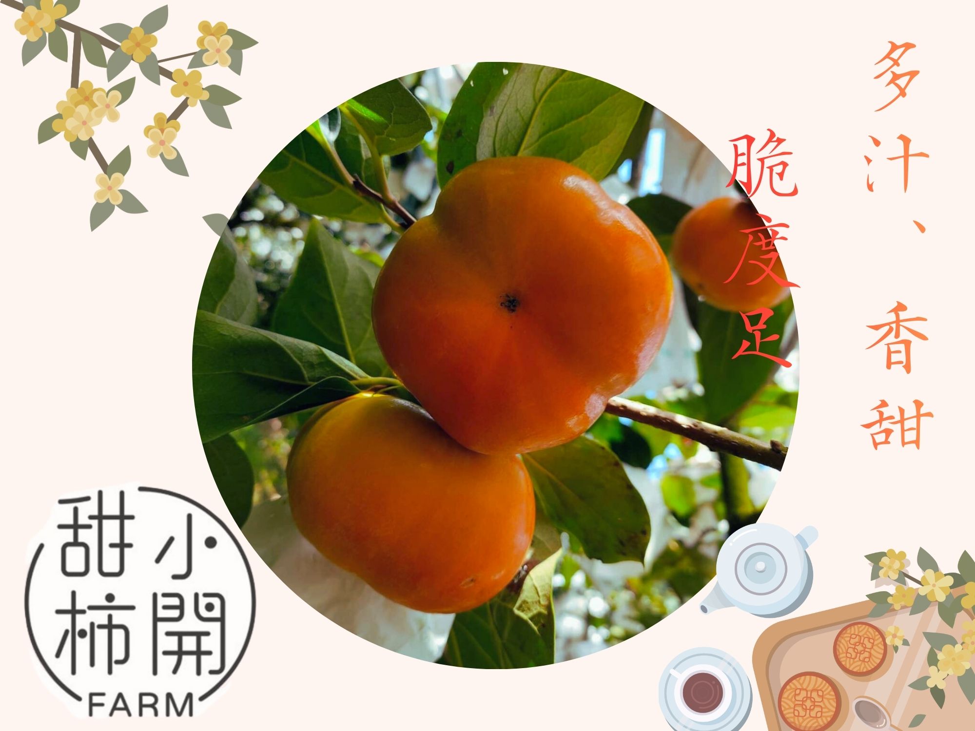 甜柿小開農場-農產品