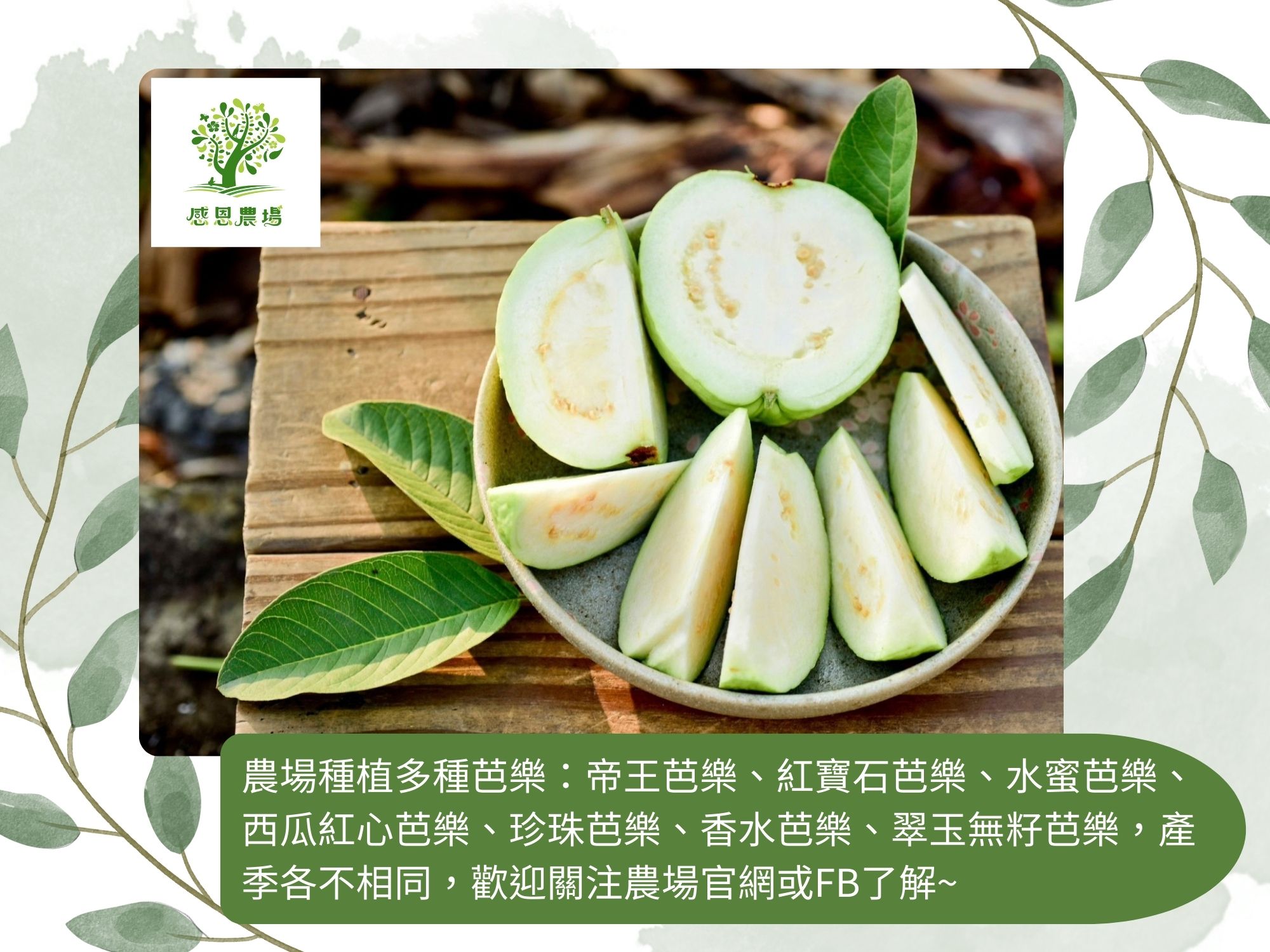 感恩農場-劉盈榛-農產品