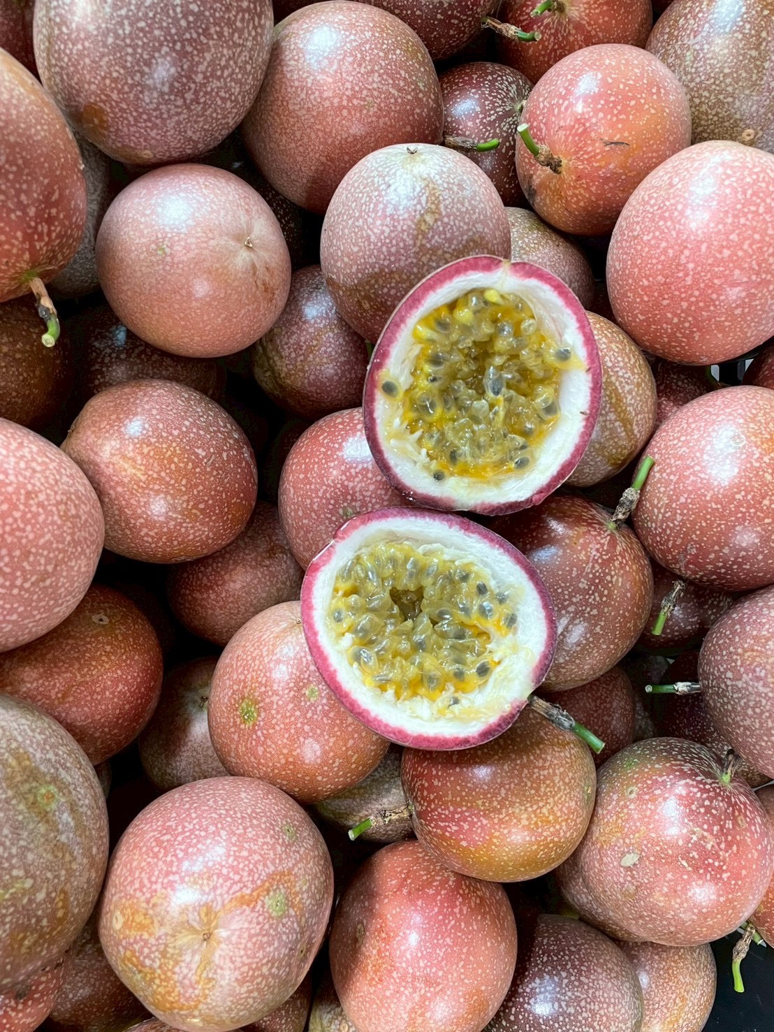 有機轉型期百香果