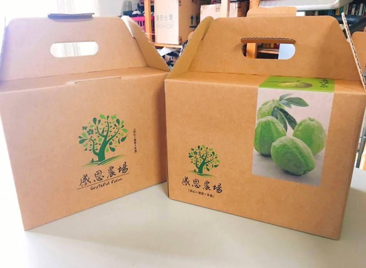 有機綜合芭樂禮盒(6斤禮盒10~12入)