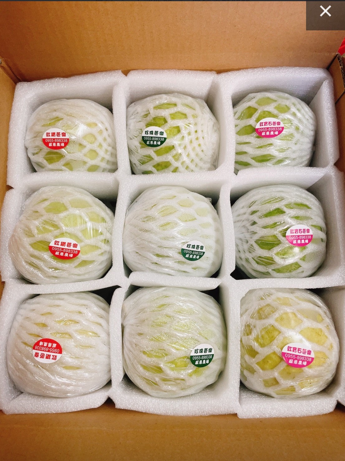 有機綜合芭樂禮盒(4斤禮盒9入)