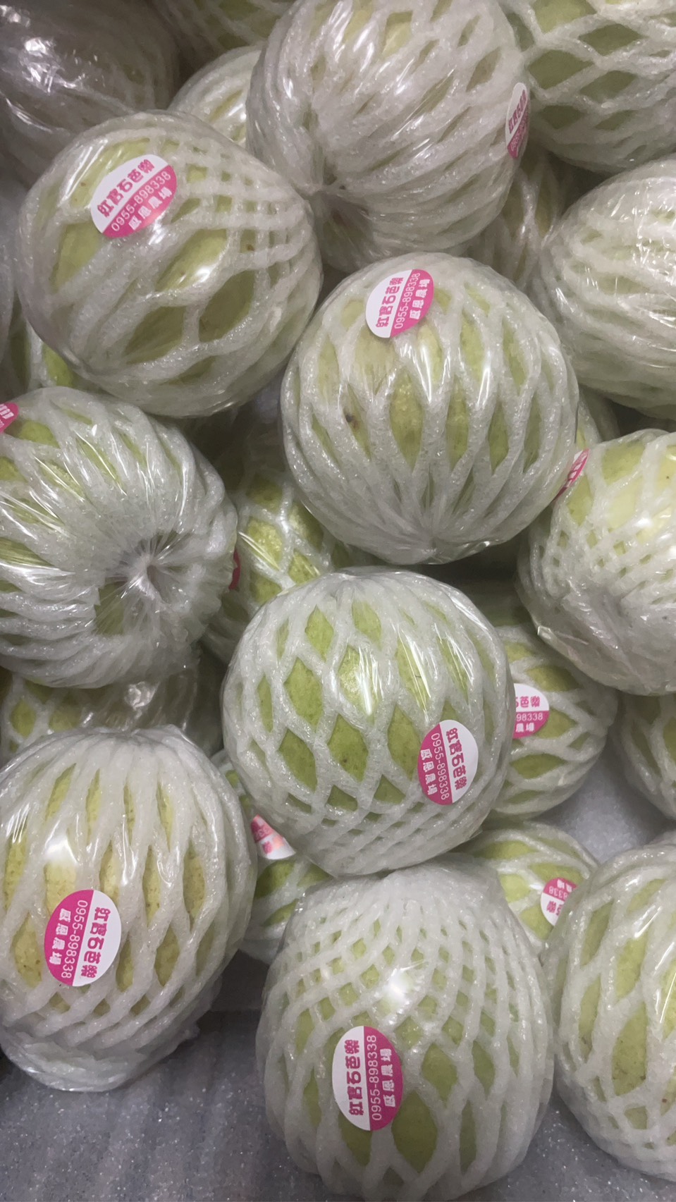 有機紅寶石芭樂