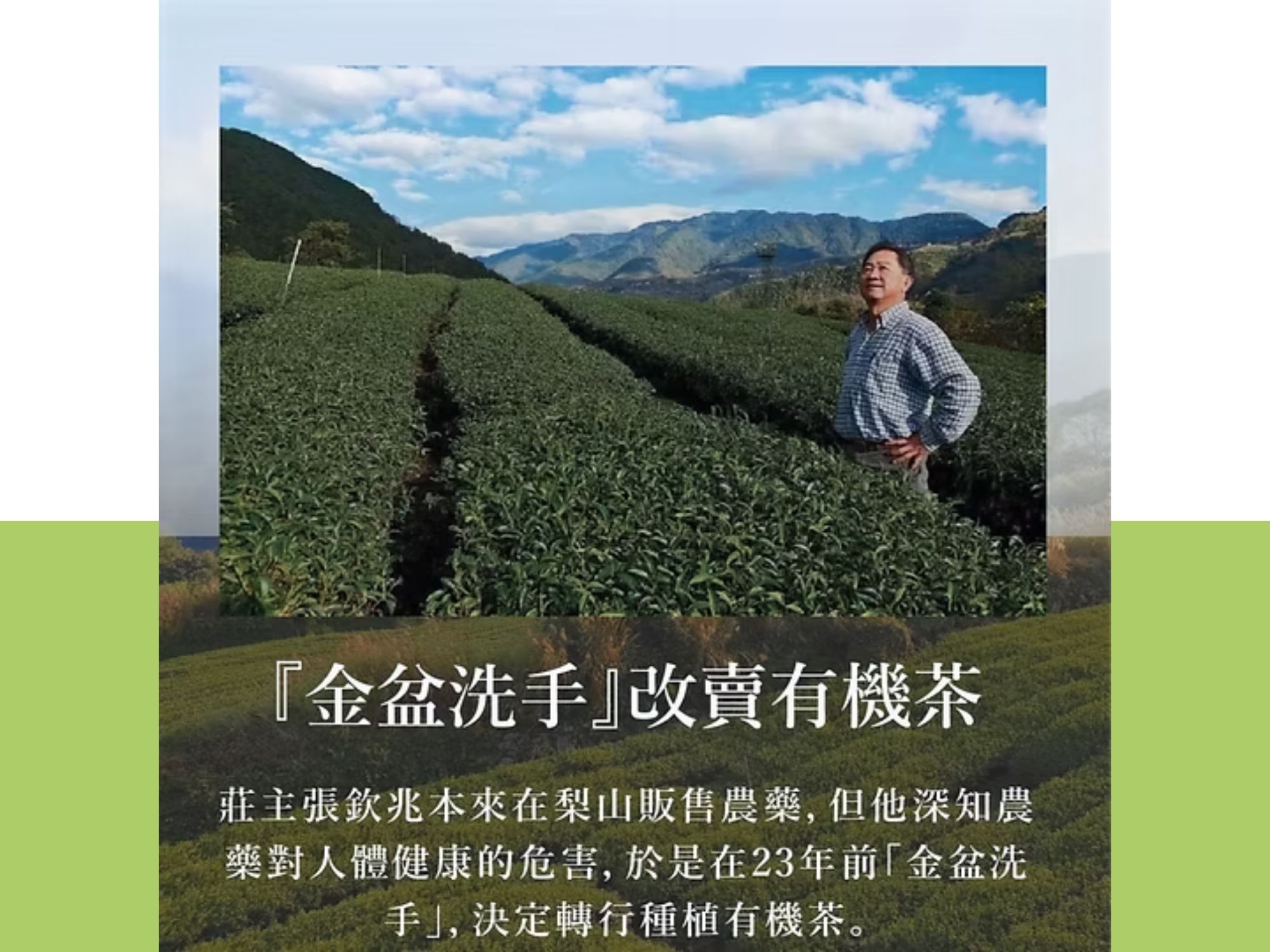 張欽兆(梨山七邦有機茶園)-有機農產品