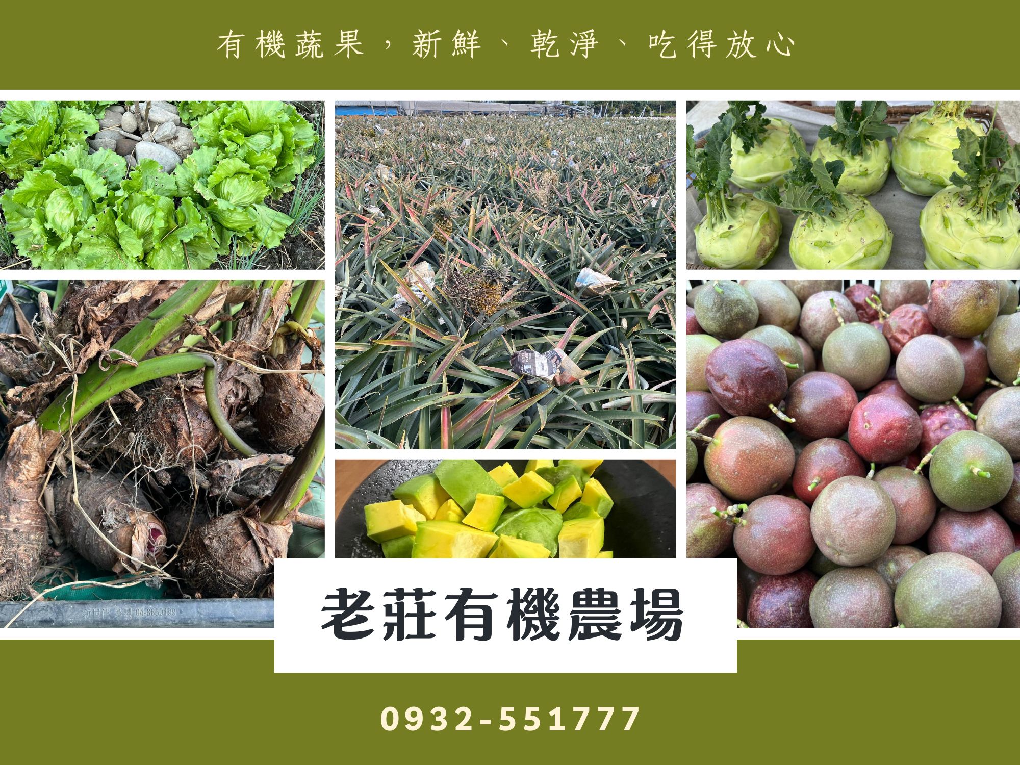 老莊有機農場-種植酪梨、鳳梨、火龍果、香蕉、洋蔥、地瓜、南瓜等蔬果