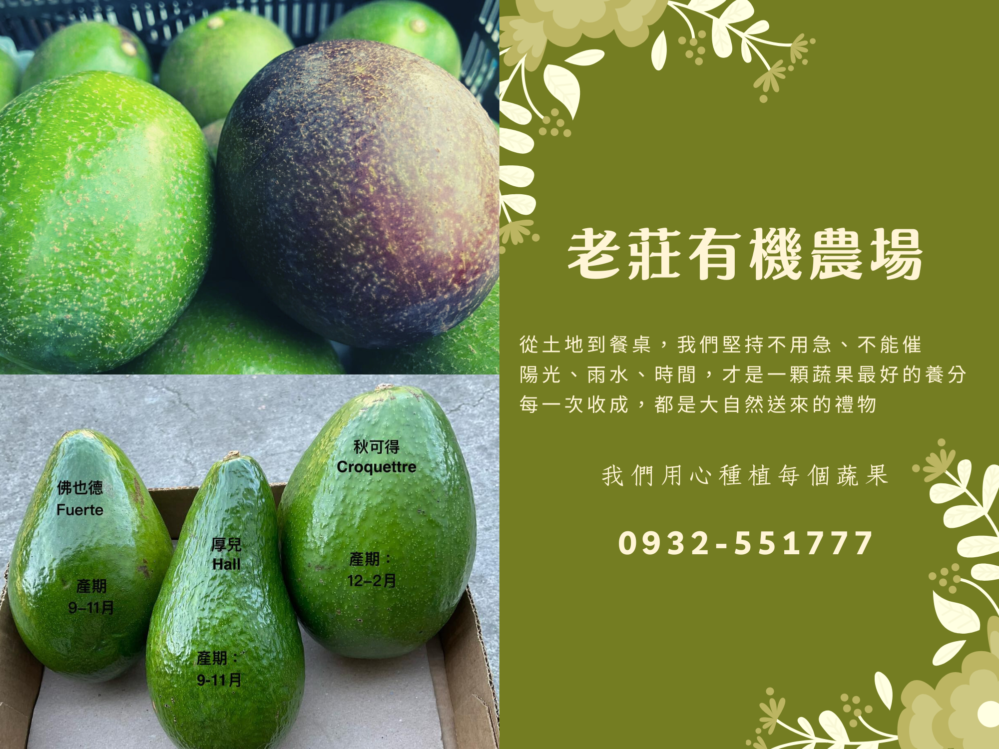 老莊有機農場 | 有機認證蔬果-農產品