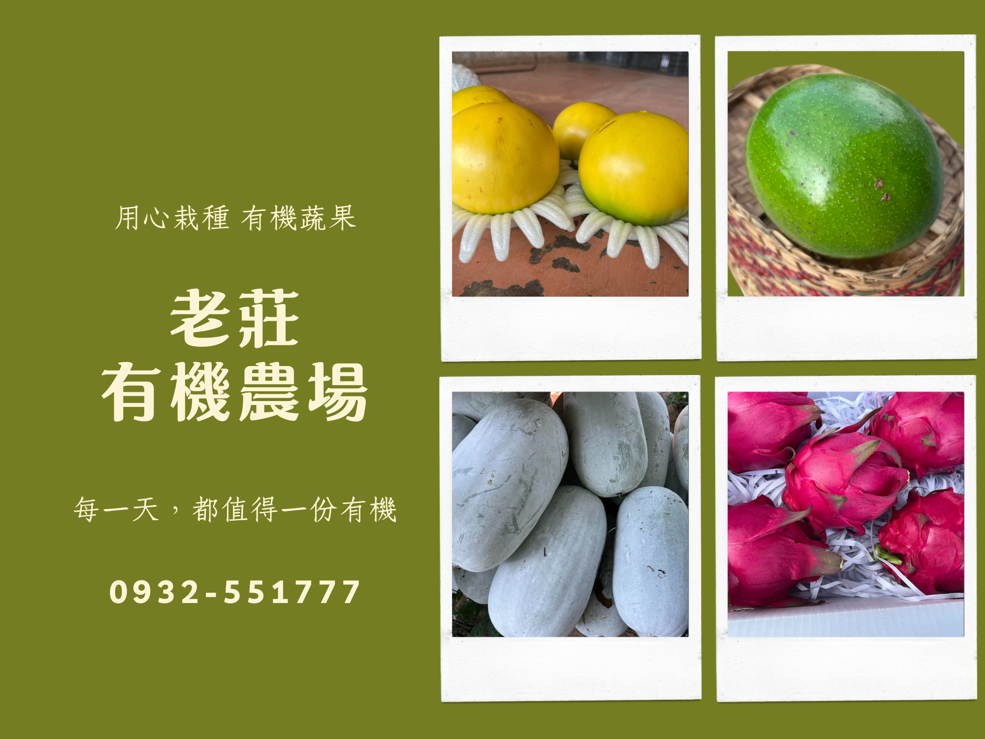 老莊有機農場 | 有機認證蔬果-農產品