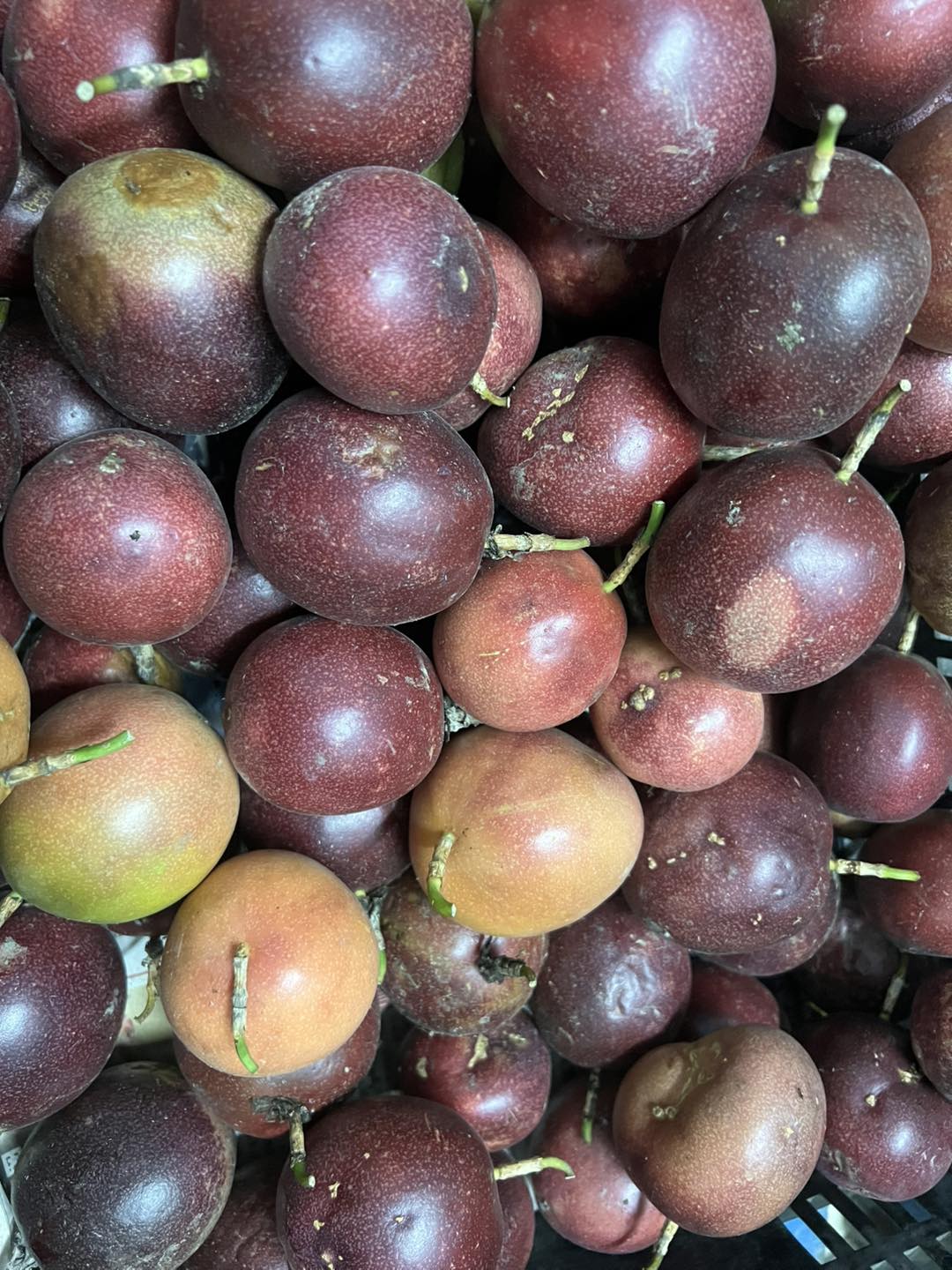 有機百香果台農2號