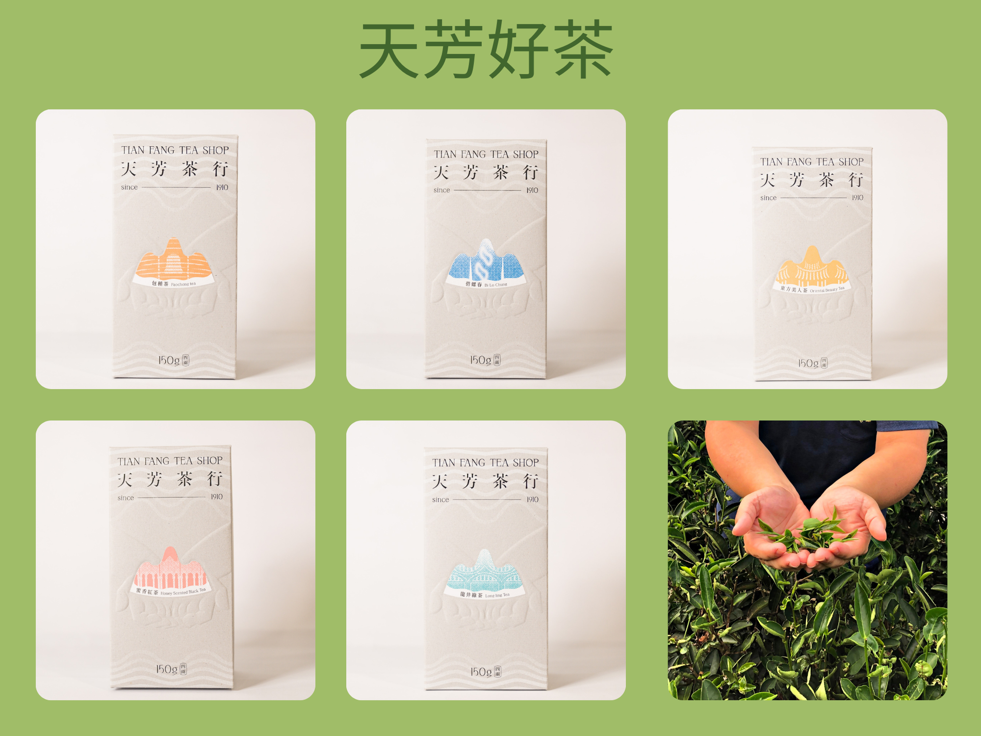 三峽天芳茶行-三峽茶行-土產品