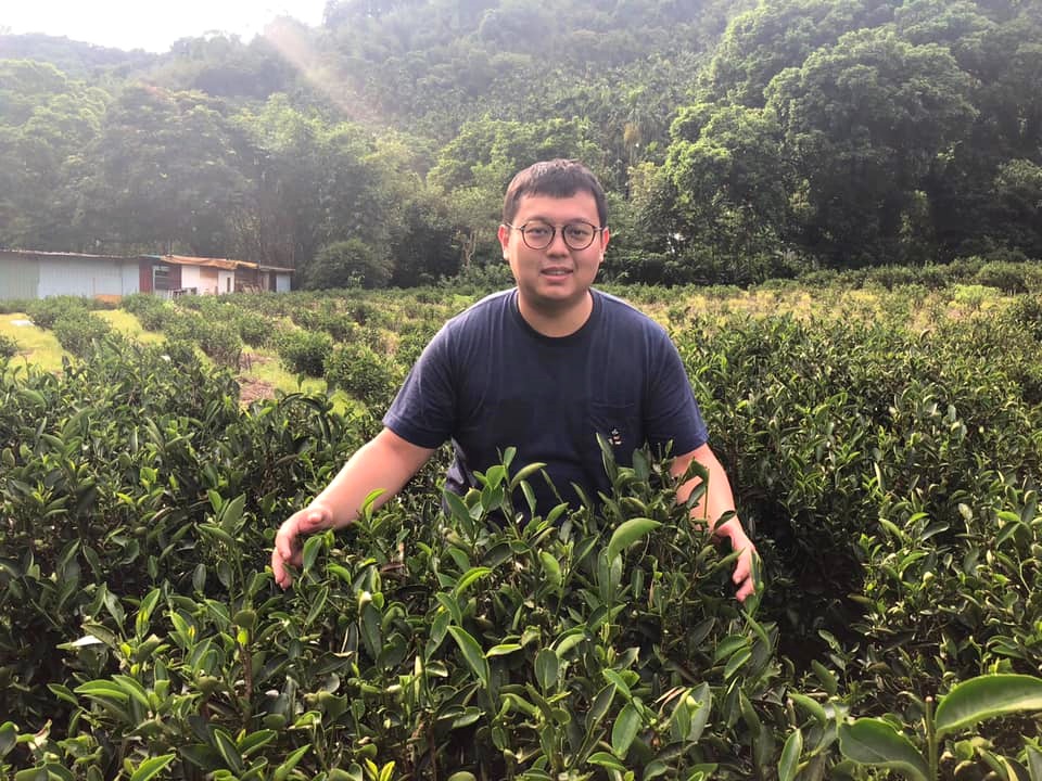 三峽天芳茶行-三峽茶行-土產品