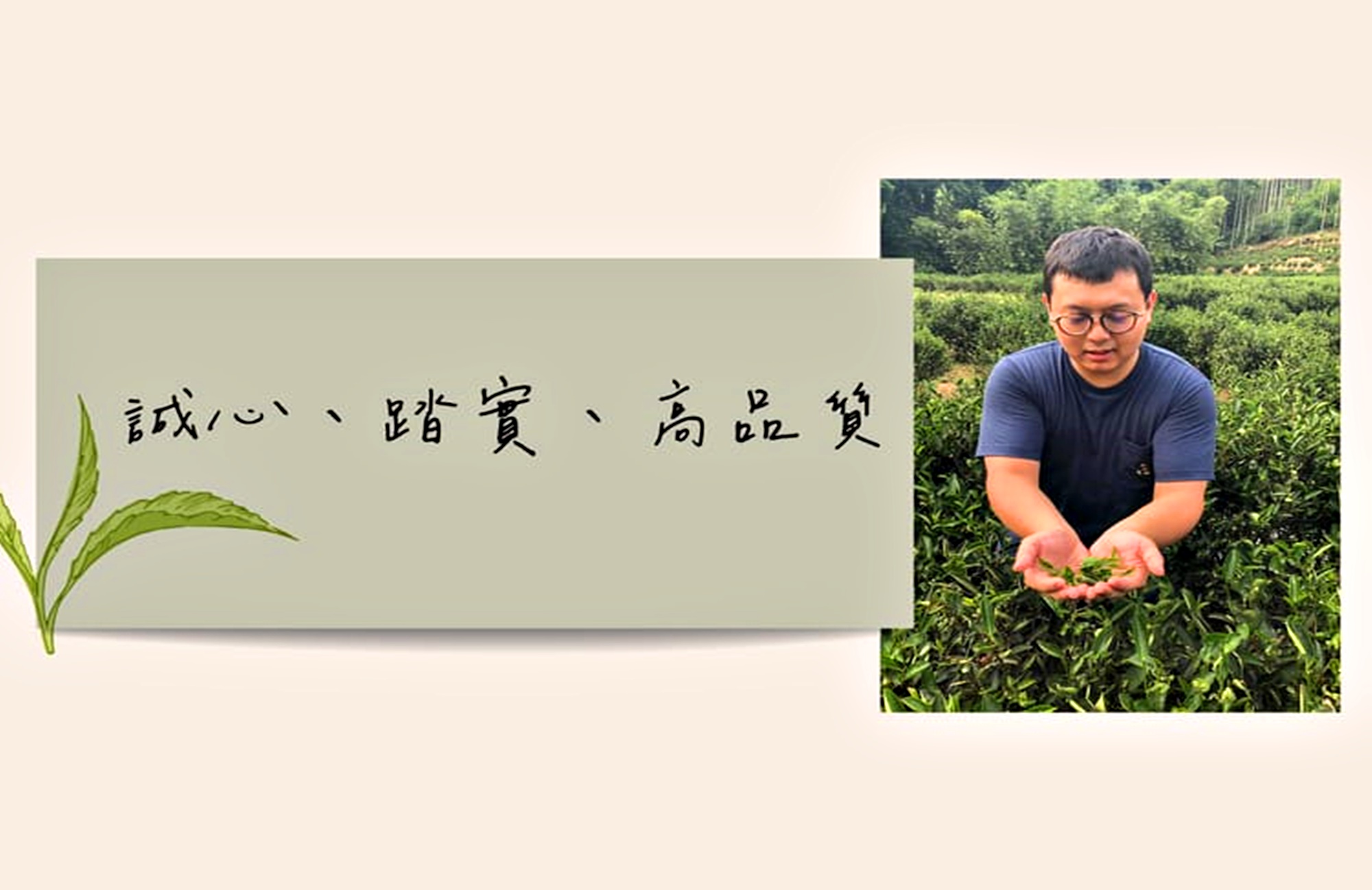 三峽天芳茶行-三峽茶行-土產品