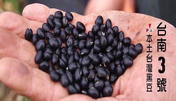 青仁黑豆-台南3號