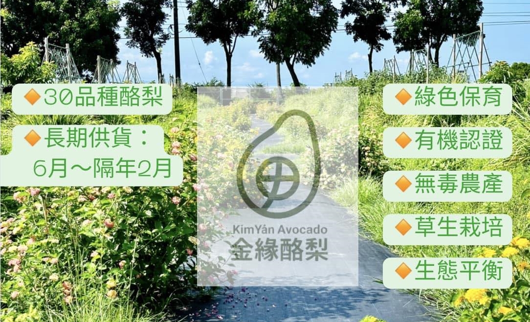 金緣生態酪梨農場-有機水果 | 有機農場 | 無毒農品