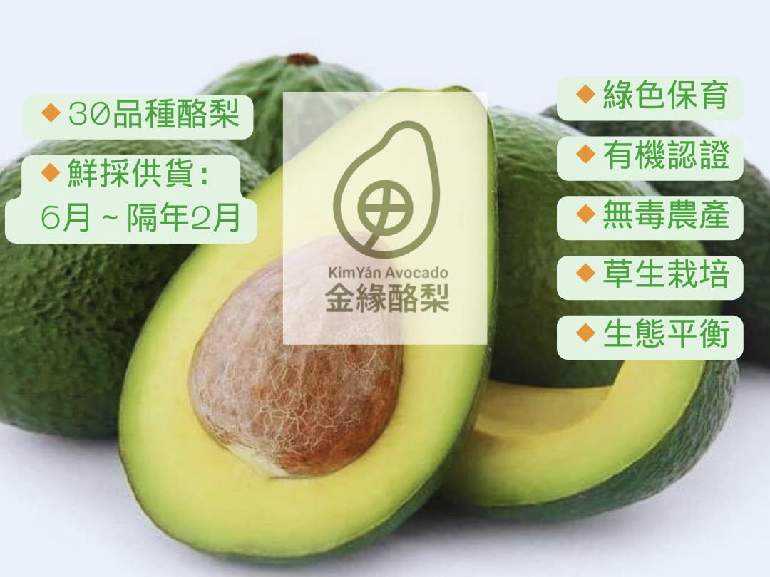 金緣生態酪梨農場-有機水果 | 有機農場 | 無毒農品-土產品