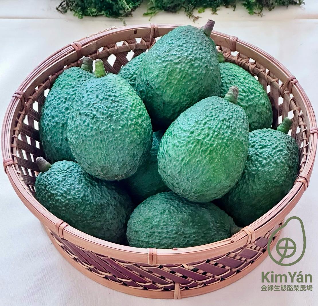 金緣綠保有機酪梨【台灣哈斯