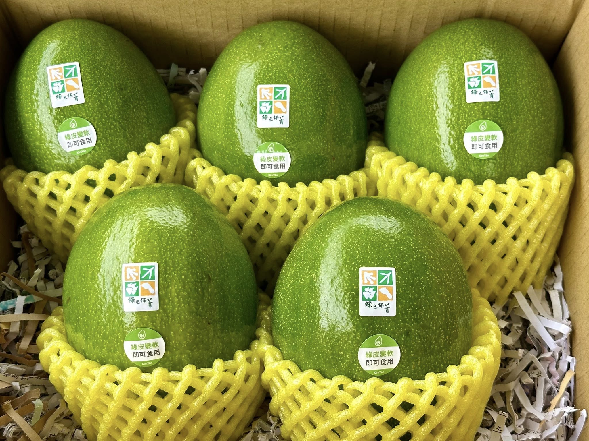 綠保有機幸福果-金緣酪梨