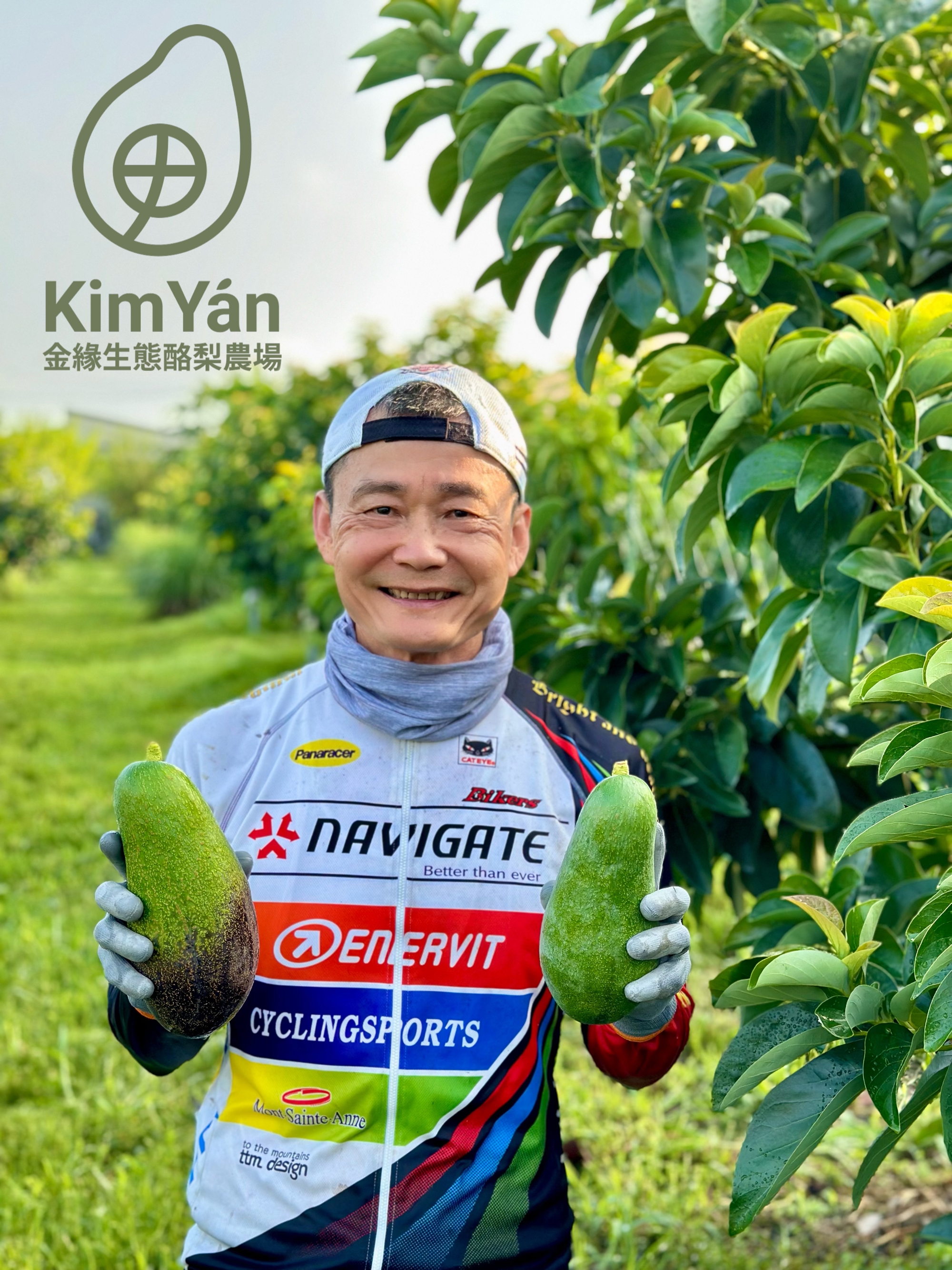 綠保有機幸福果-金緣酪梨